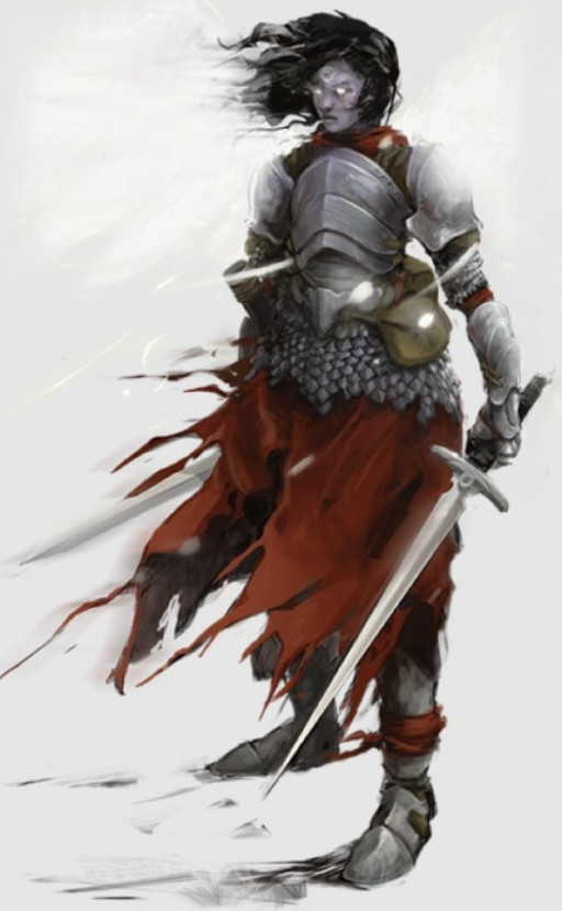 [Top 5] D&D Fighter Monk Multiclass Builds | Gamers Decide